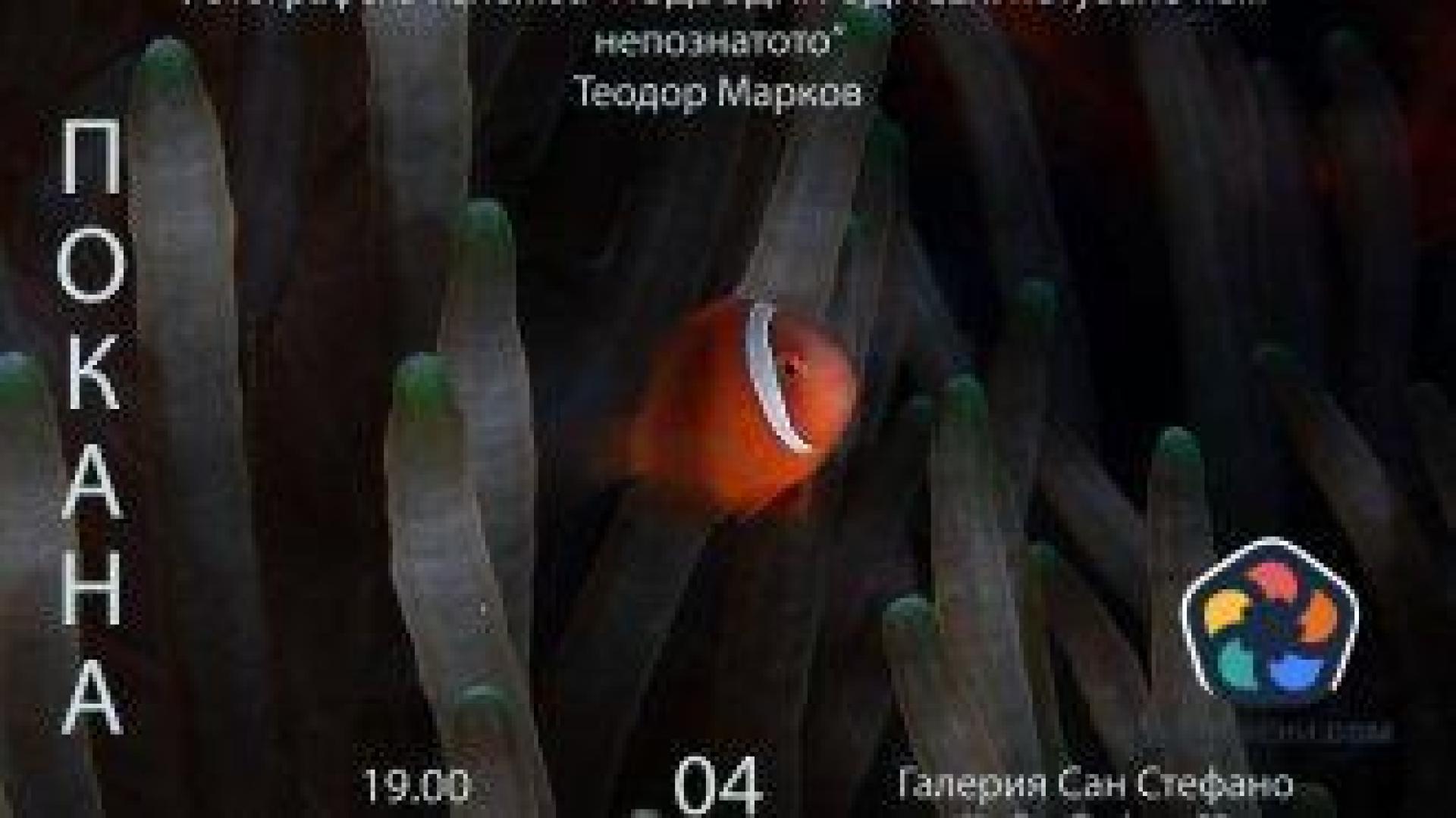 Подводна фотография показва непознати морски дребосъци