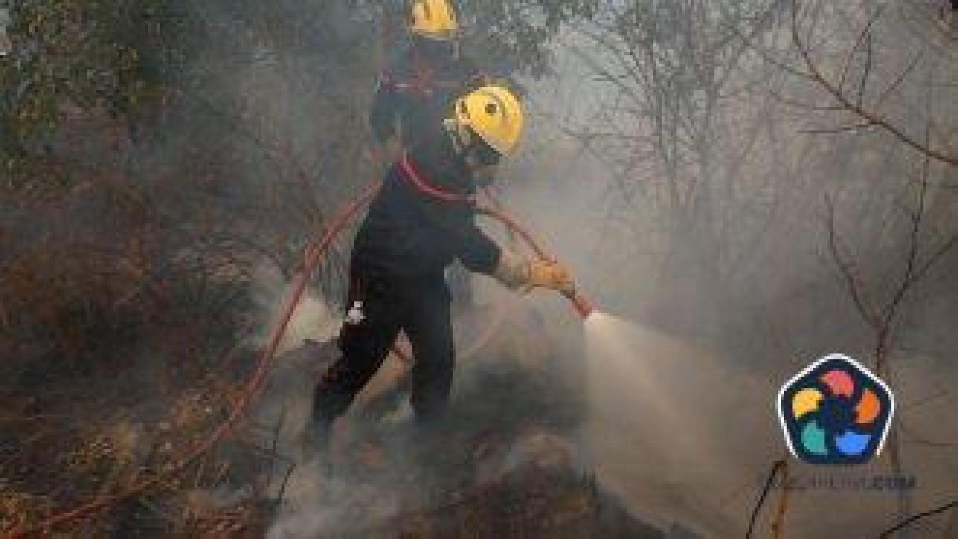 За последното денонощие в Гърция са избухнали 47 пожара