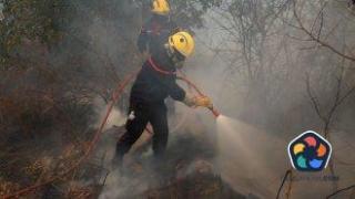 За последното денонощие в Гърция са избухнали 47 пожара