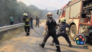 Заради пожарите: ПП-ДБ и "Възраждане" искат оставки, ГЕРБ – пари, Пеевски в шизофренна роля