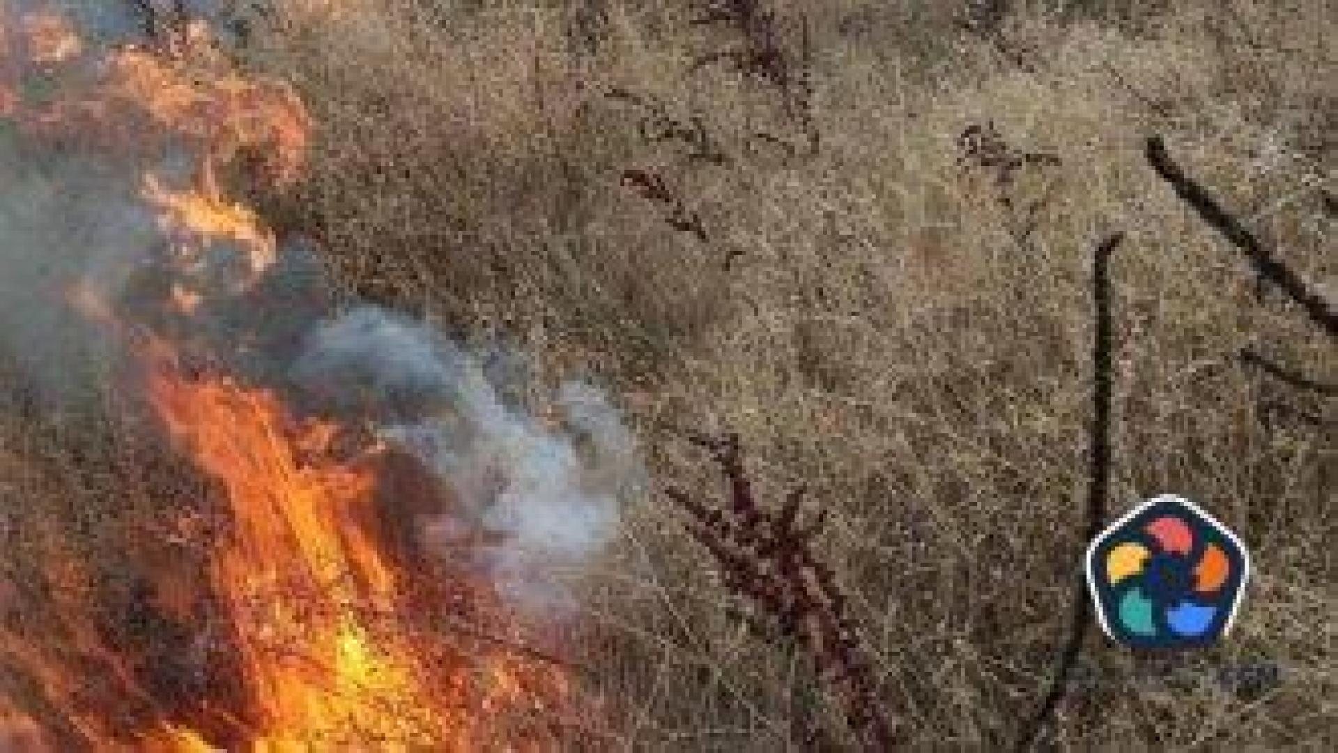 Пожар в подножието на Витоша