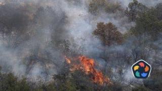 Пожарите в Северна Македония засегнаха 12 села