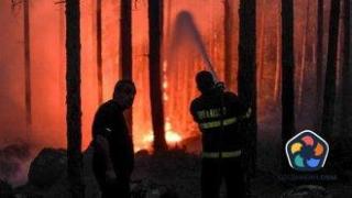 Огромен горски пожар в Калифорния бушува при много горещо и сухо време