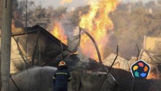 Горските пожари:по-малко на брой, но по-опустошителни