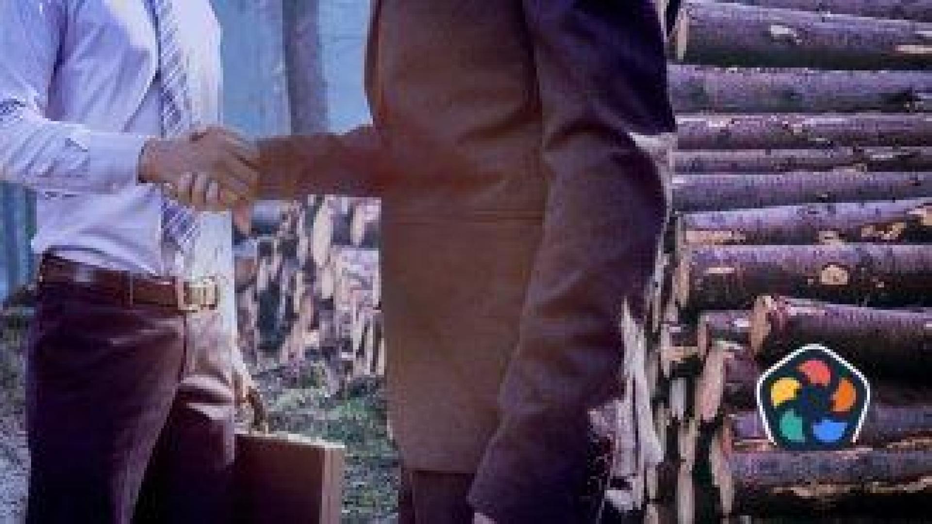 Хора на ГЕРБ и Пеевски пак властват в държавните горски фирми