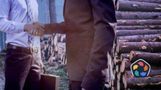 Хора на ГЕРБ и Пеевски пак властват в държавните горски фирми