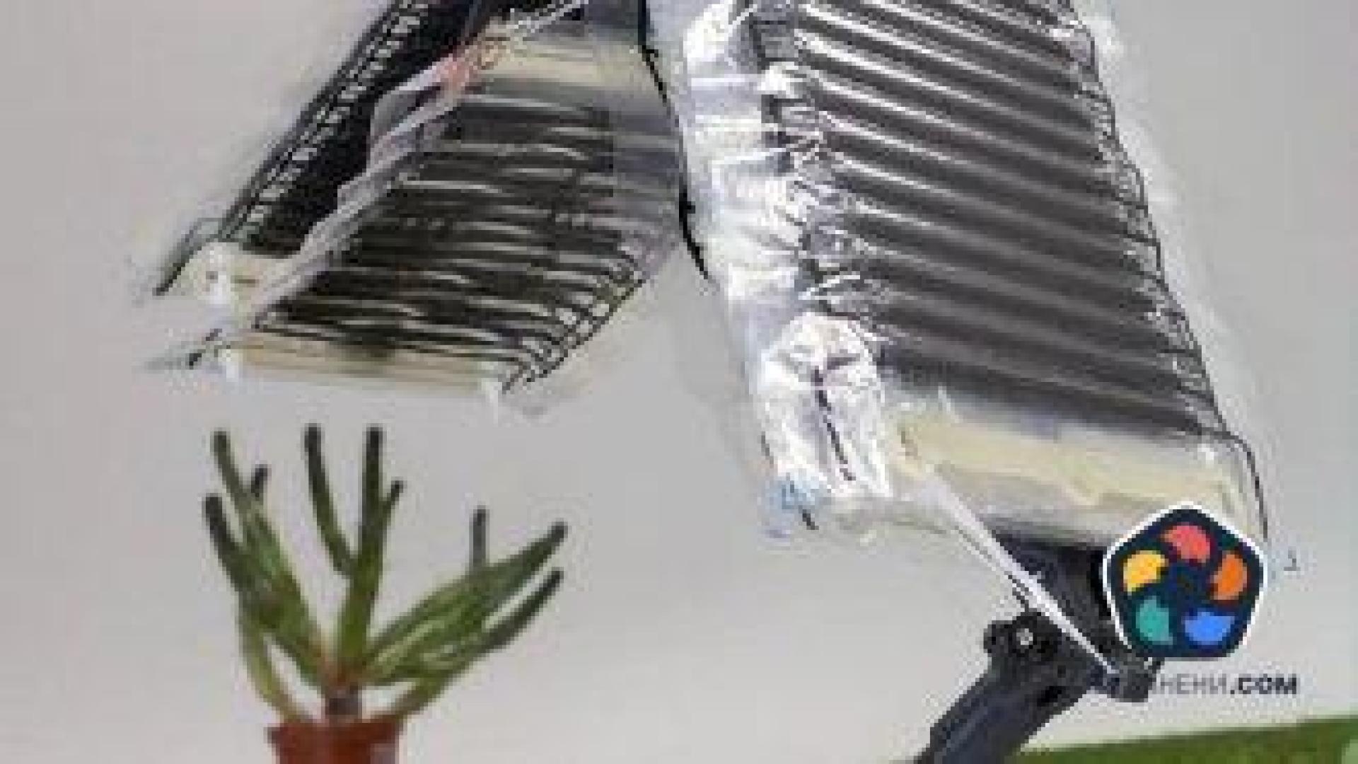 Учени проектираха първия роботизиран крак с изкуствени мускули