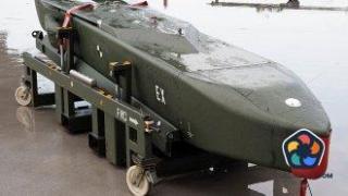 ЕП подкрепя възможността Украйна да поразява военни цели в Русия със западно оръжие