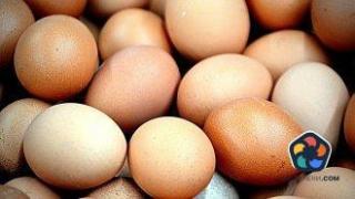 България ще поиска от ЕК забрана за внос на яйца от Украйна