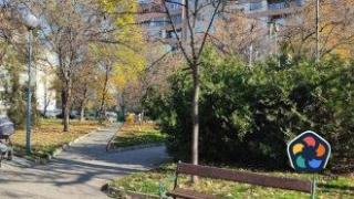 Смъртта, скрита зад туите. Прикриването на отровния въздух в България