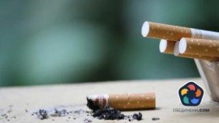 В български камион на австрийска магистрала бяха открити 42 200 къса контрабандни цигари
