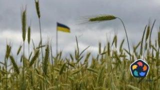 Украйна очаква по-високи добиви на пшеница през 2025 г.