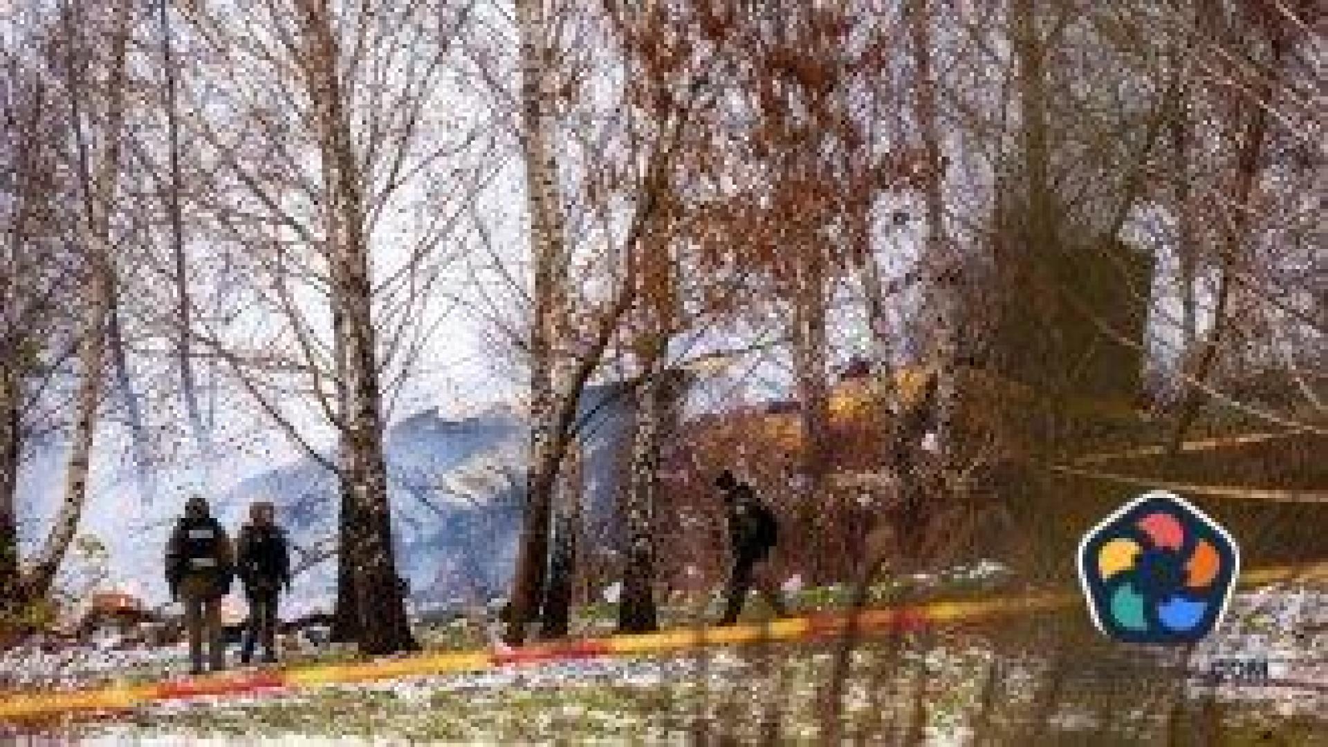 Няма следи от саботаж при самолетната катастрофа край Вилнюс, черните кутии не са открити
