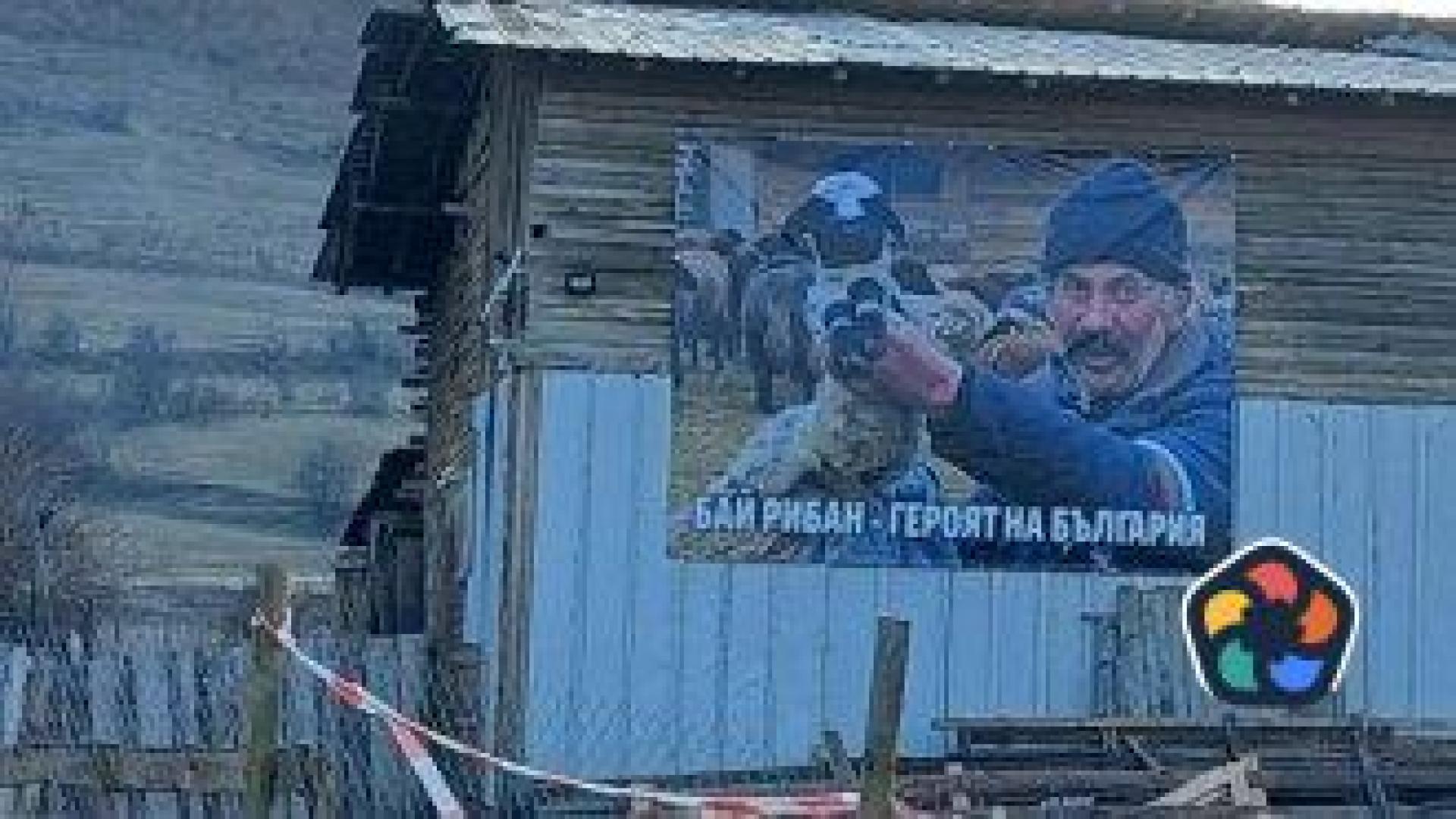 Велинград: какво видяхме до кошарите с овцете на бай Рибан