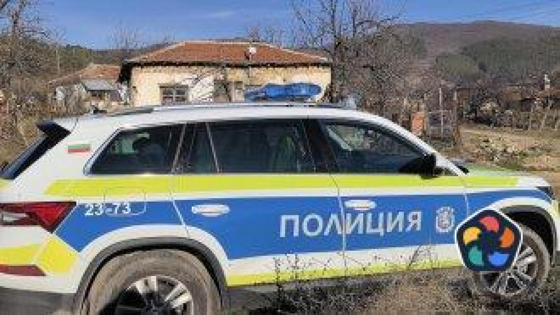 Откриха кучето на изчезналия Ники от Конаре, но няма следа от момчето