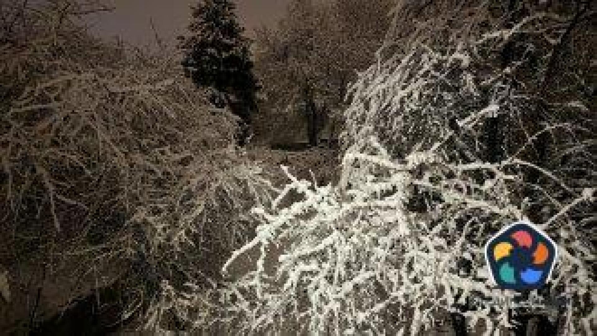 Предупреждение за валежи и силен вятър в някои части от страната