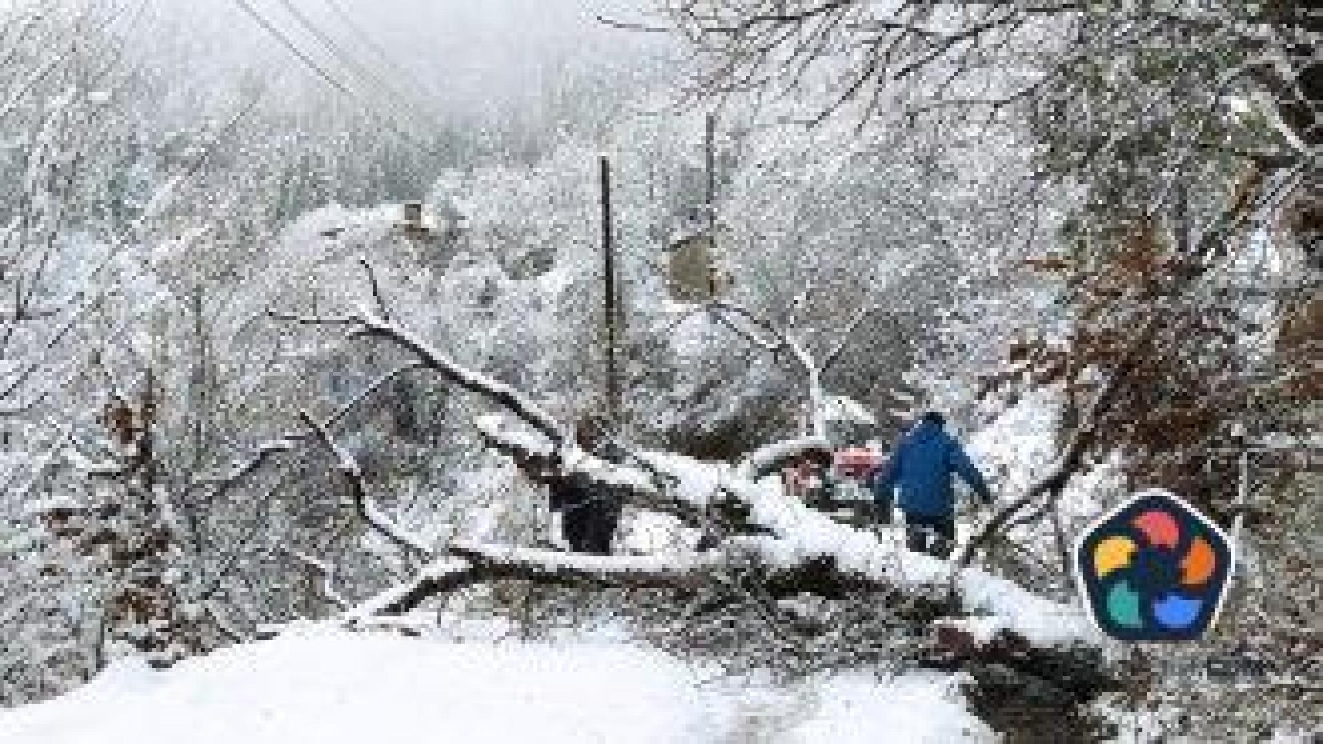 В пет общини в Ловешко продължава да има населени места без електрозахранване