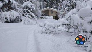 Ските невъзможни: На "Боровец" няма ток, до Витоша няма път