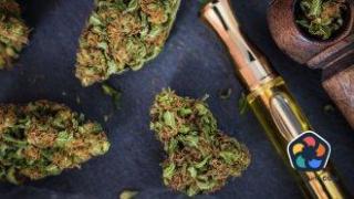 Откриха марихуана за над 480 000 лева на ГКПП "Капитан Андреево"