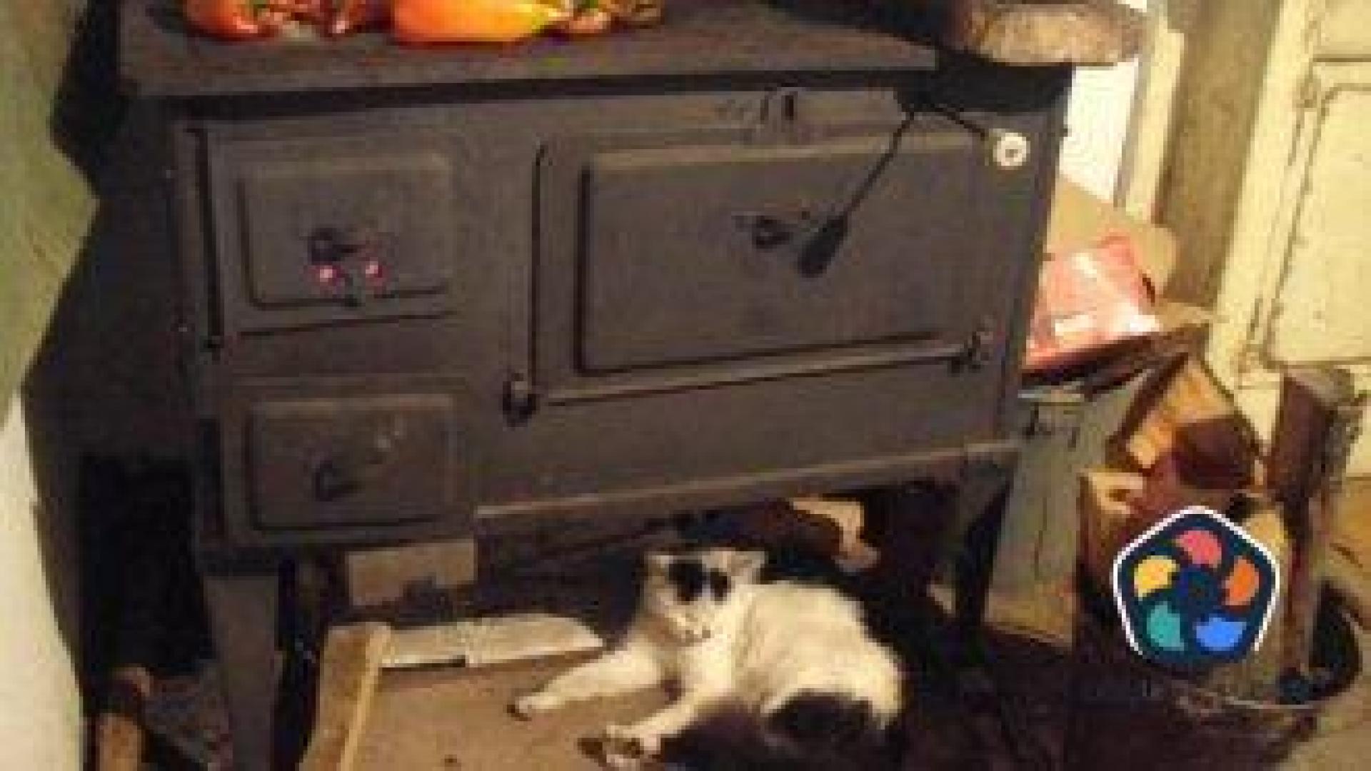 9 столични района трябва да оставят печките на дърва и въглища в 2024 г.