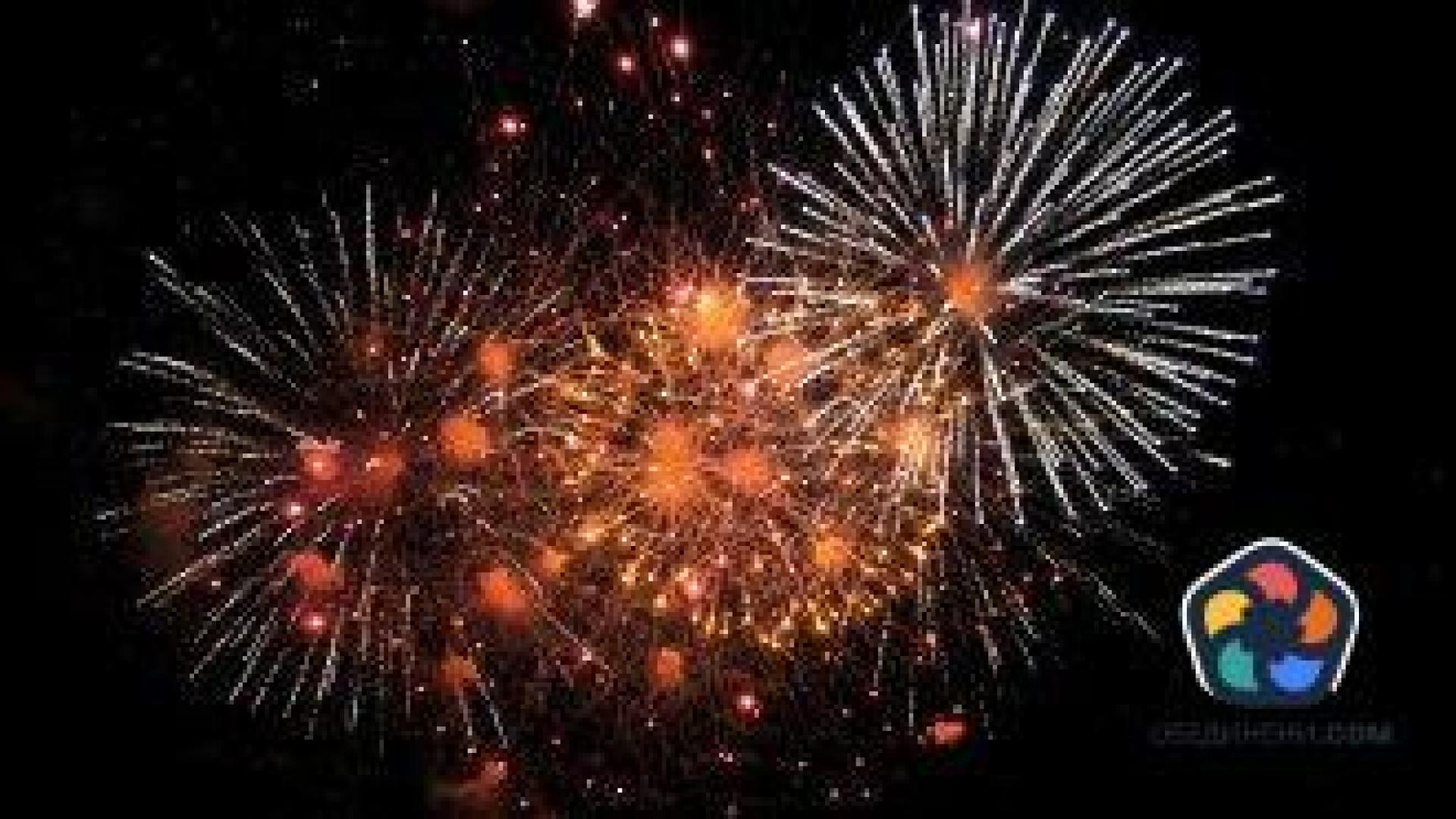 Над 250 хил. германци искат забрана на фойерверките