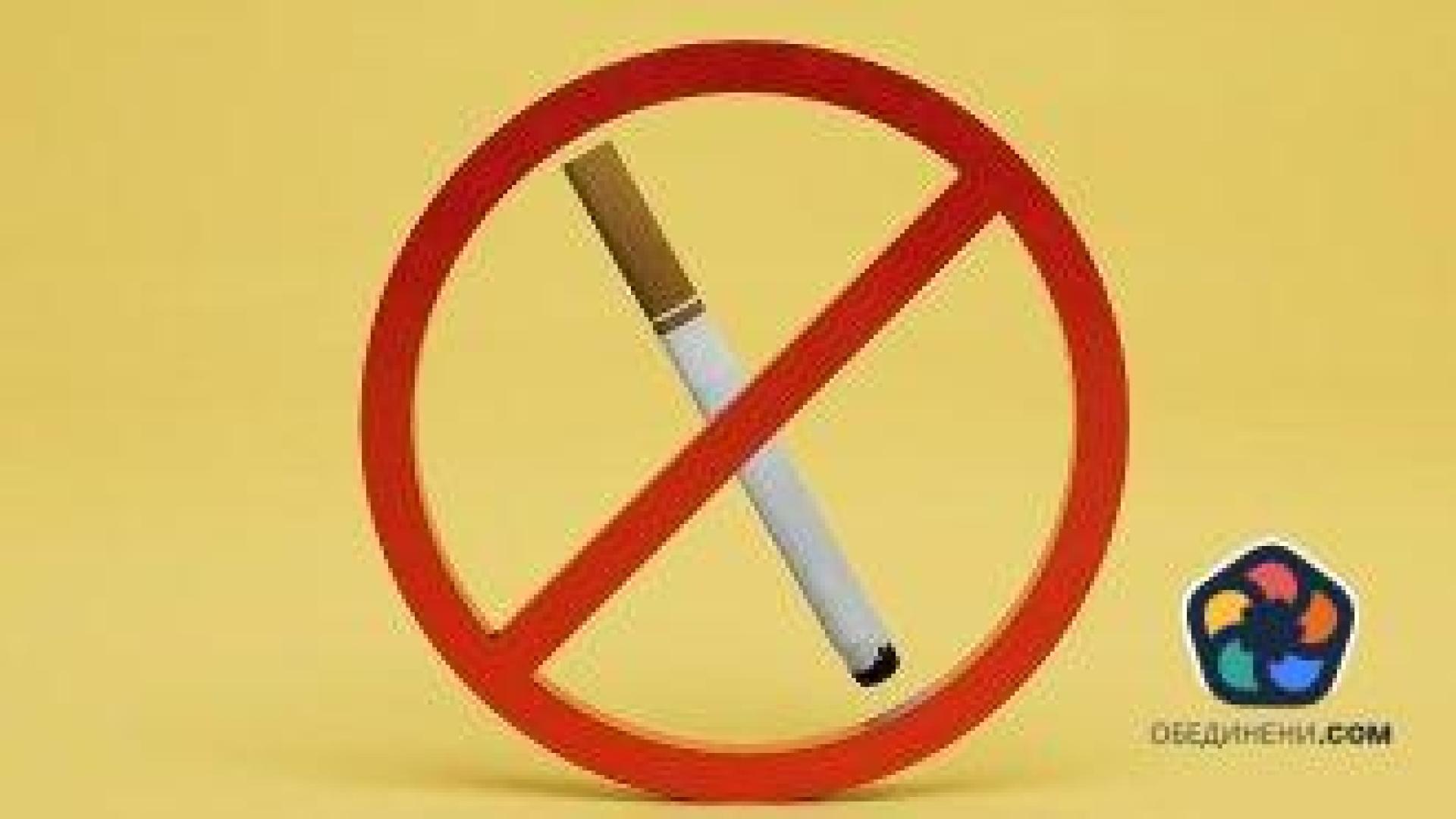 От пушене до праскови: Най-големите любопитства на българите през 2024 г. според Google