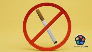 От пушене до праскови: Най-големите любопитства на българите през 2024 г. според Google