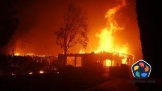 Пожарът в Лос Анджелис накара холивудски звезди да бягат за живота си