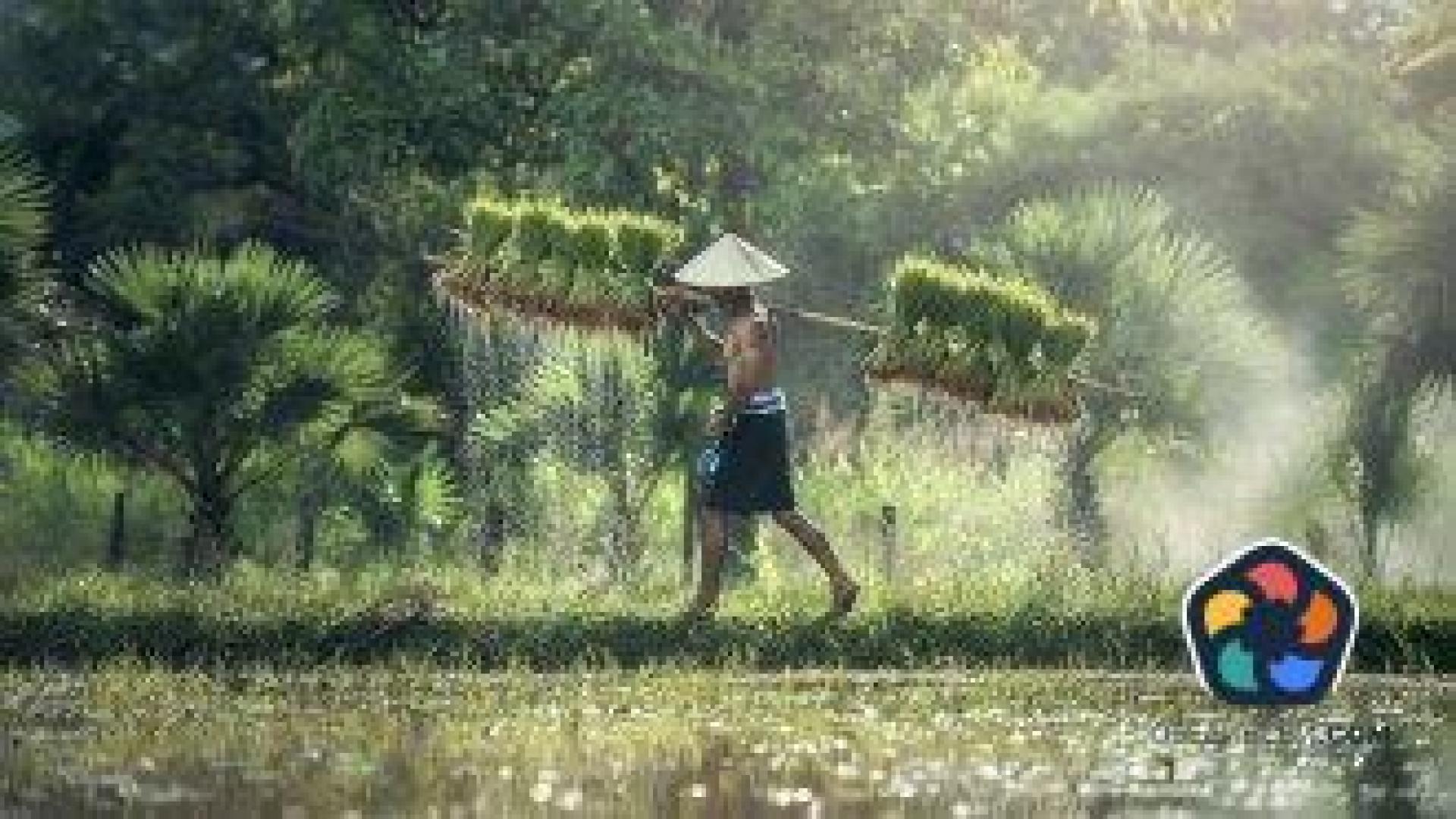 Куба даде под аренда земя на чужденци за първи път от 1959 г.