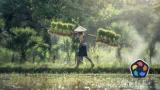 Куба даде под аренда земя на чужденци за първи път от 1959 г.
