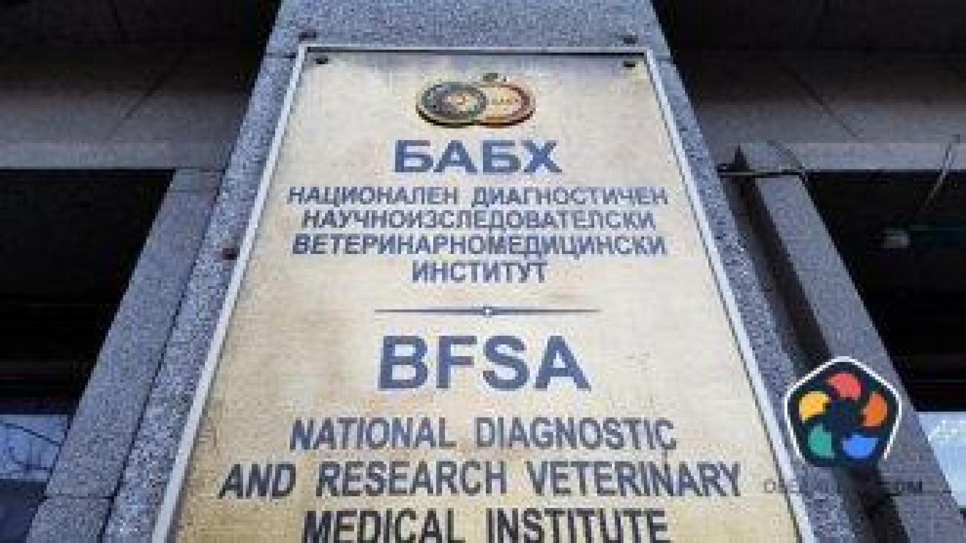 Агенцията по храните възбрани обект с 12 коня в Разлог