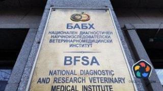 Агенцията по храните възбрани обект с 12 коня в Разлог