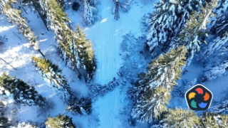 Снегът по Коледа е скъсал хиляди метри мрежа в Западна България