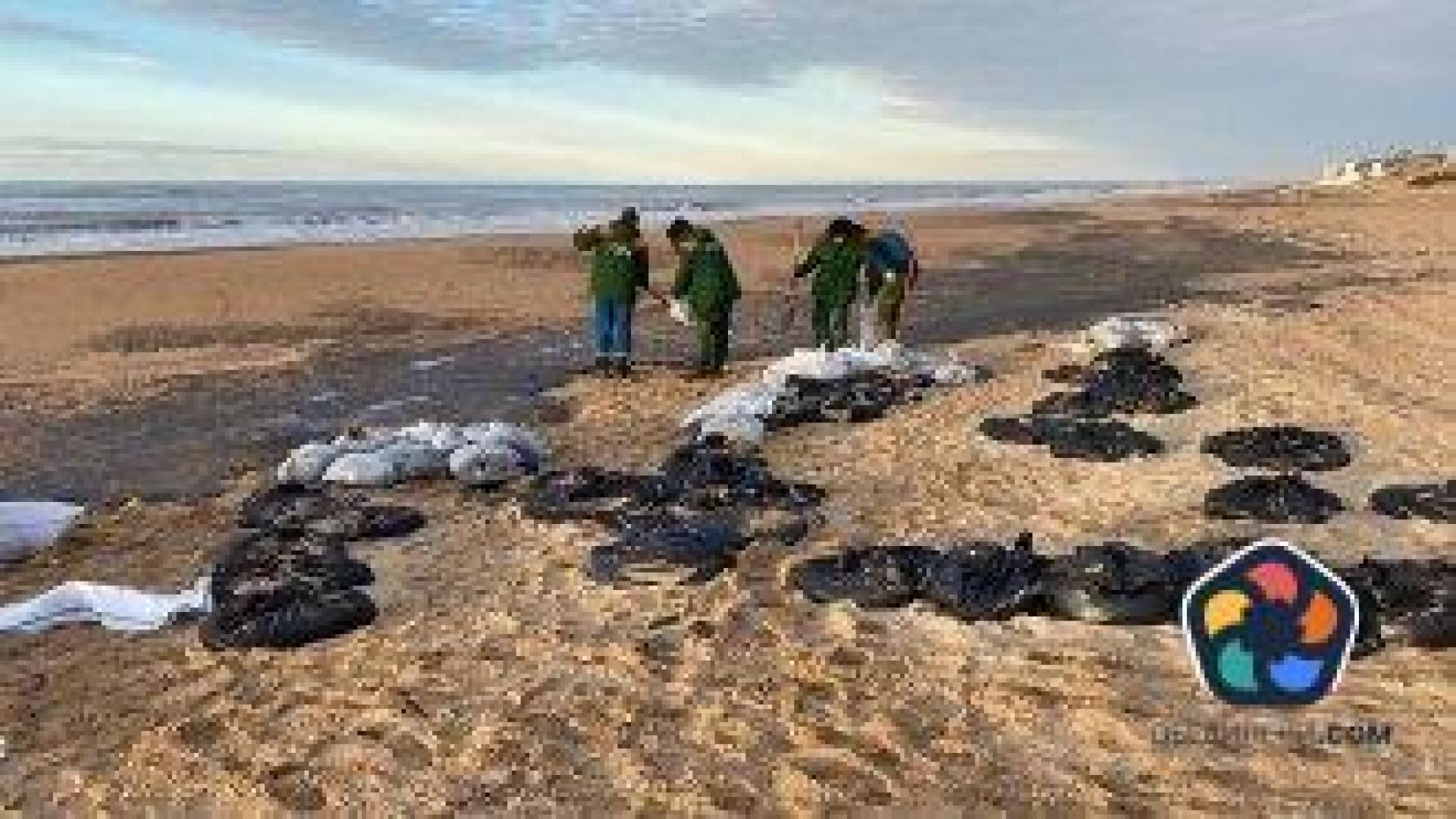 Петролният разлив в Черно море се разширява