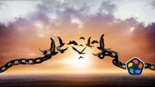 Индекс на човешка свобода 2024: Пандемията изтри години подобрение. България е с две десетилетия назад