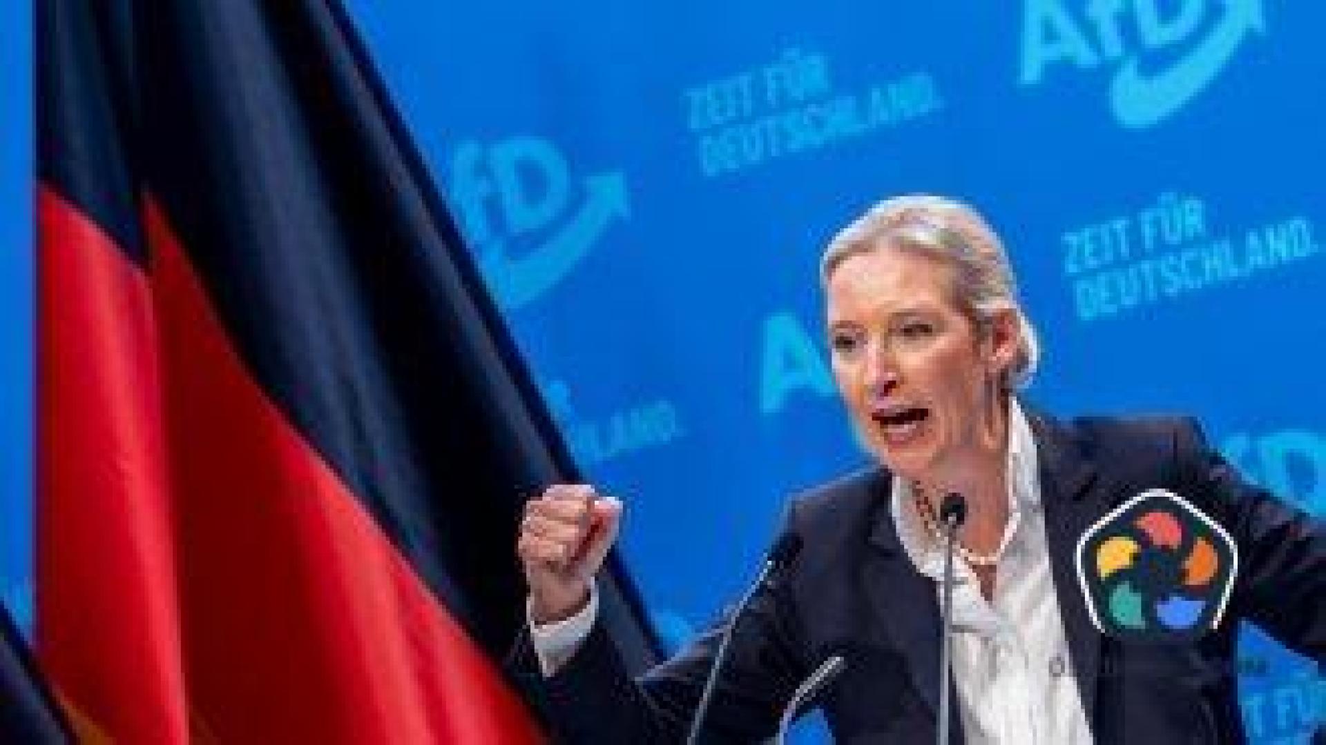 Алис Вайдел, "Желязната лейди" на германската крайна десница