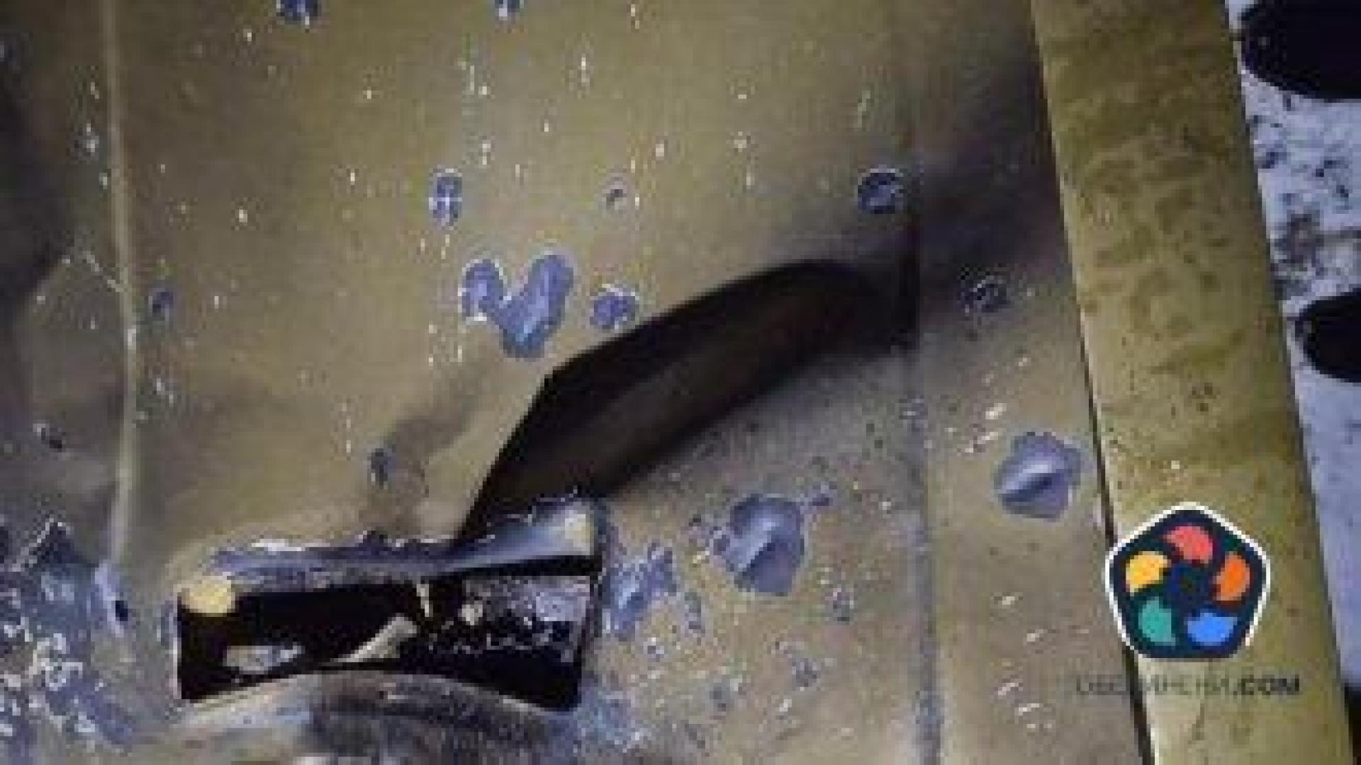 Жена е убита при руска атака с дрон в Украйна