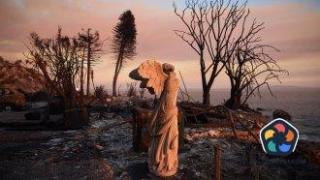 Продължава борбата с пожарите в Лос Анджелис