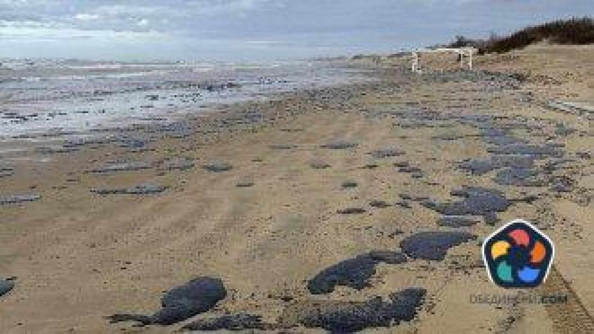 Руснаци се потопиха в замърсени от петролния разлив води за Богоявление