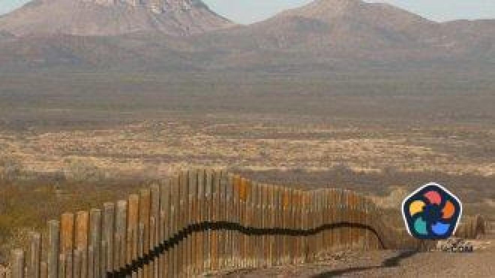 Тръмп ще позволи разполагането на американски войски по границите на страната