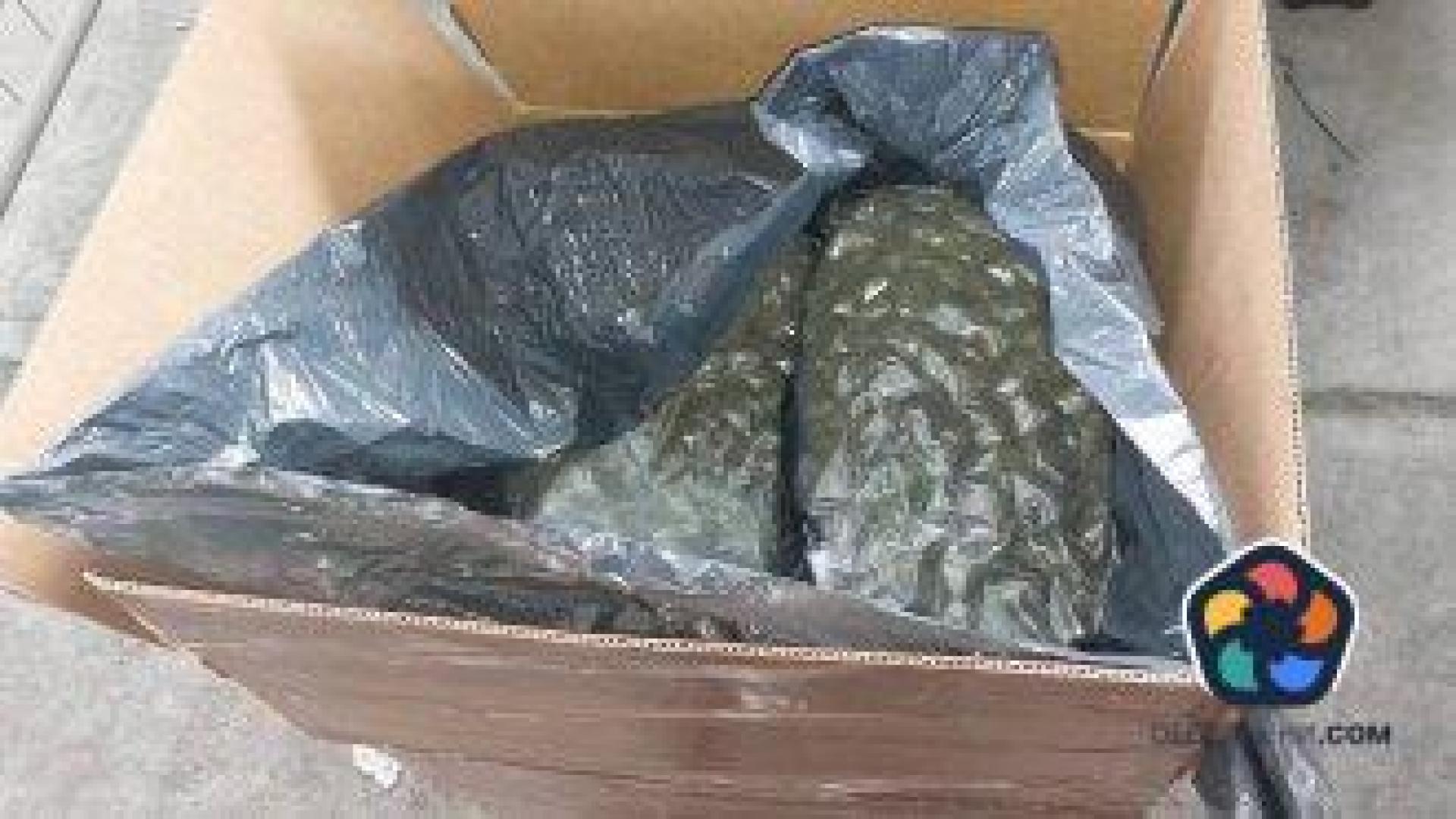 Митничари хванаха пратка с 365 килограма марихуана