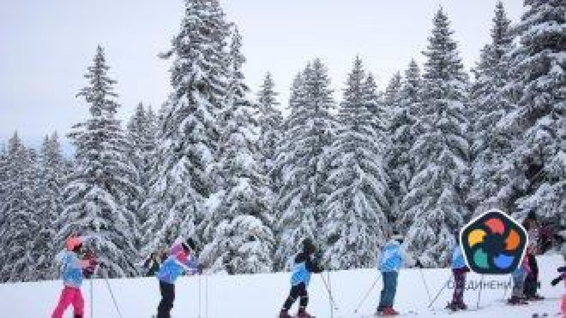 Общински съветник пита защо се бави покупката на още автобуси за Витоша