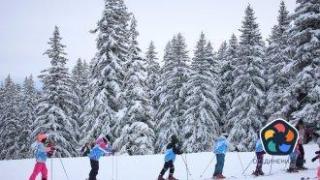 Общински съветник пита защо се бави покупката на още автобуси за Витоша