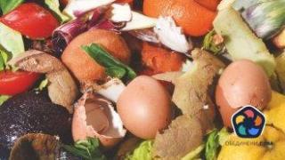 София е произвела ток от близо 8500 т хранителни отпадъци през 2024 г.