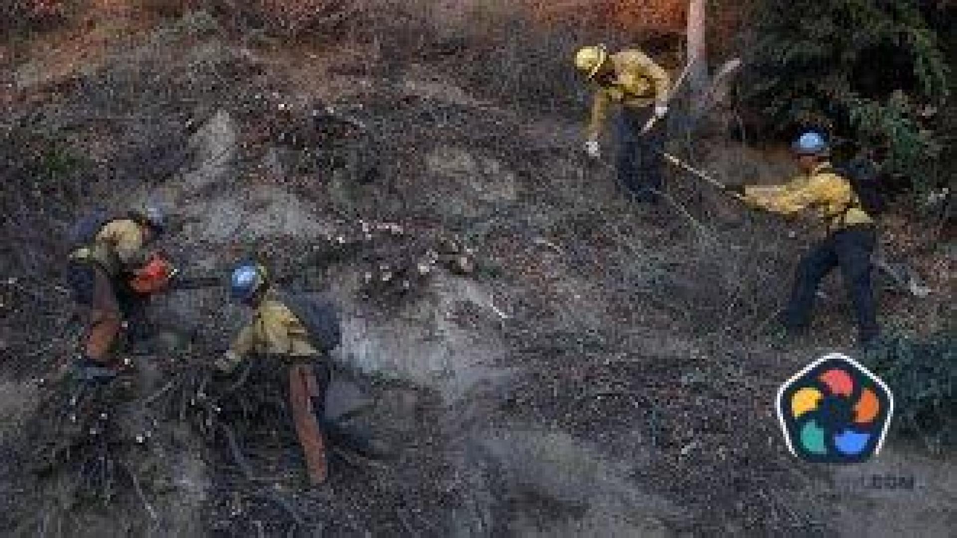 Горските пожари в Лос Анджелис са напълно овладени