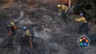 Горските пожари в Лос Анджелис са напълно овладени