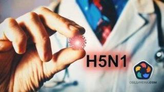 Огнище на птичи грип бе установено в Асеновград, предстои унищожаване на 80 000 птици