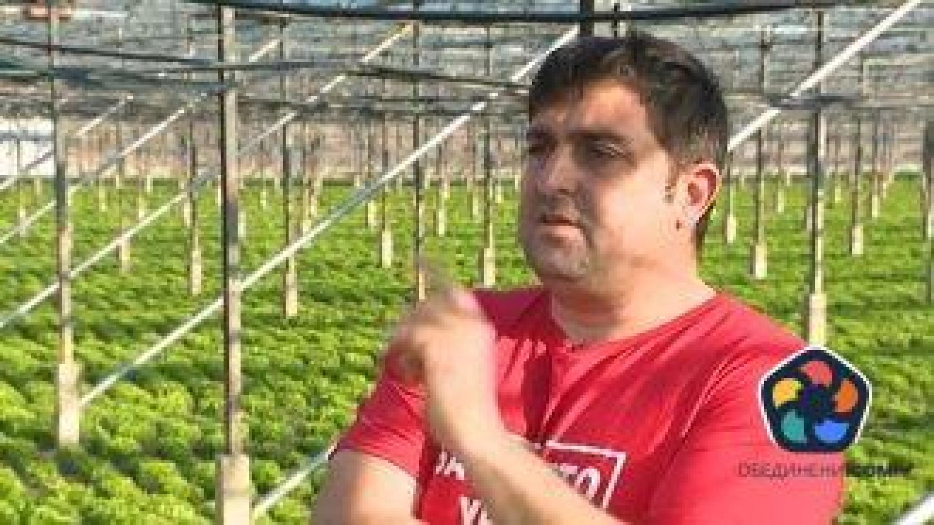 Българският домат поскъпва от 1 лв. до 5 лв. за 140 км – от Струмяни до София