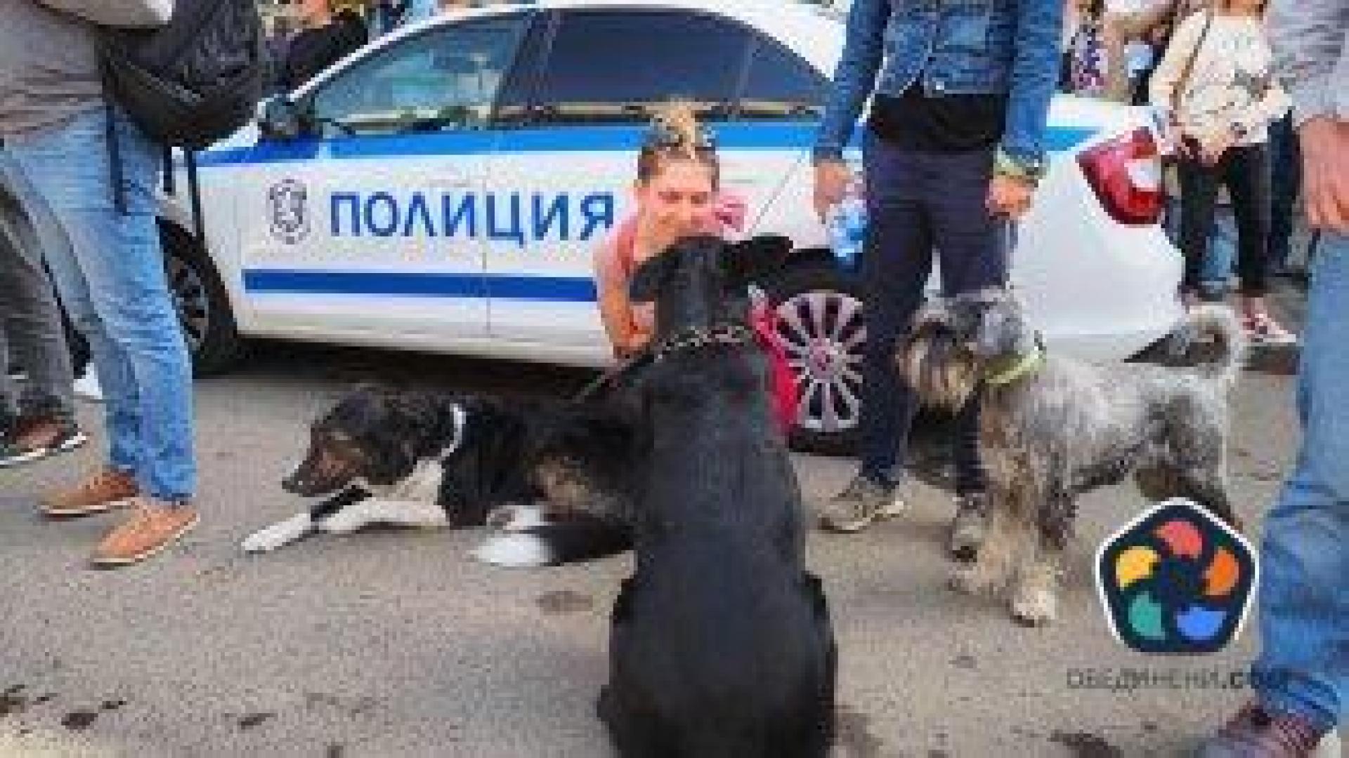 Граждани протестираха срещу насилието над животни (снимки)