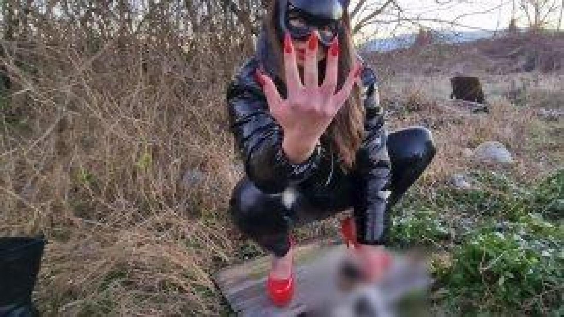 От 50 до 700 евро. Ценоразписът на обвинените в мъчение на животни